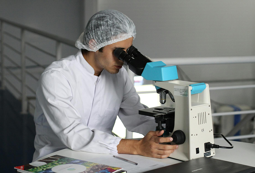 Healthcare and Life Sciences